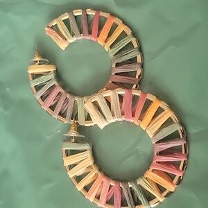 Multicolor Woven Hoop Earrings